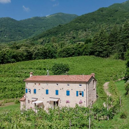 Agriturismo Podere Del Bosc Valmareno المظهر الخارجي الصورة
